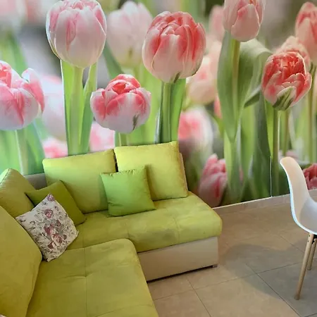 Apartament Petra Kaštela